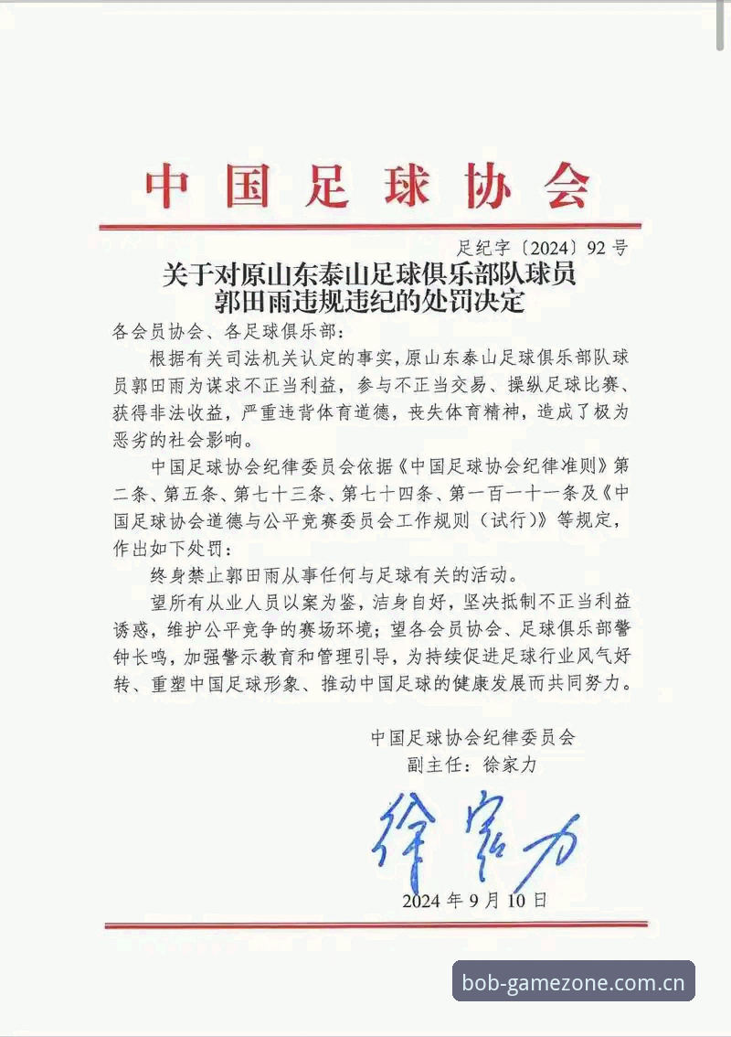 资深体育迷分享：足协第三批禁足名单深度解读与半岛体育平台观赛心得